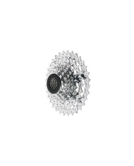 PG730 7spd Cassette